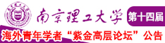 日b的电影视频南京理工大学第十四届海外青年学者紫金论坛诚邀海内外英才！